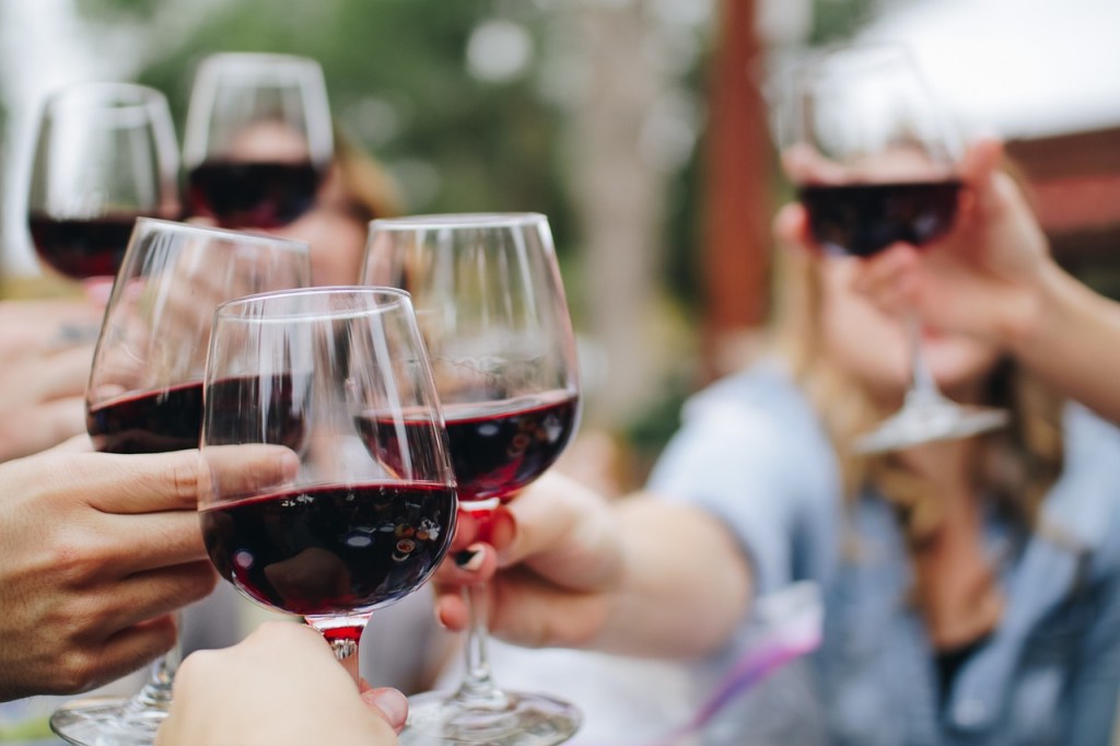 A group of people cheers with glasses of red wine in an outdoor setting.