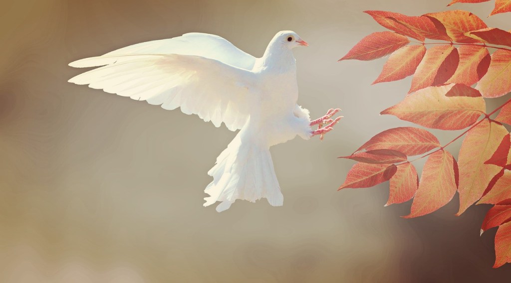 A white dove in flight with outstretched wings, surrounded by autumn leaves.