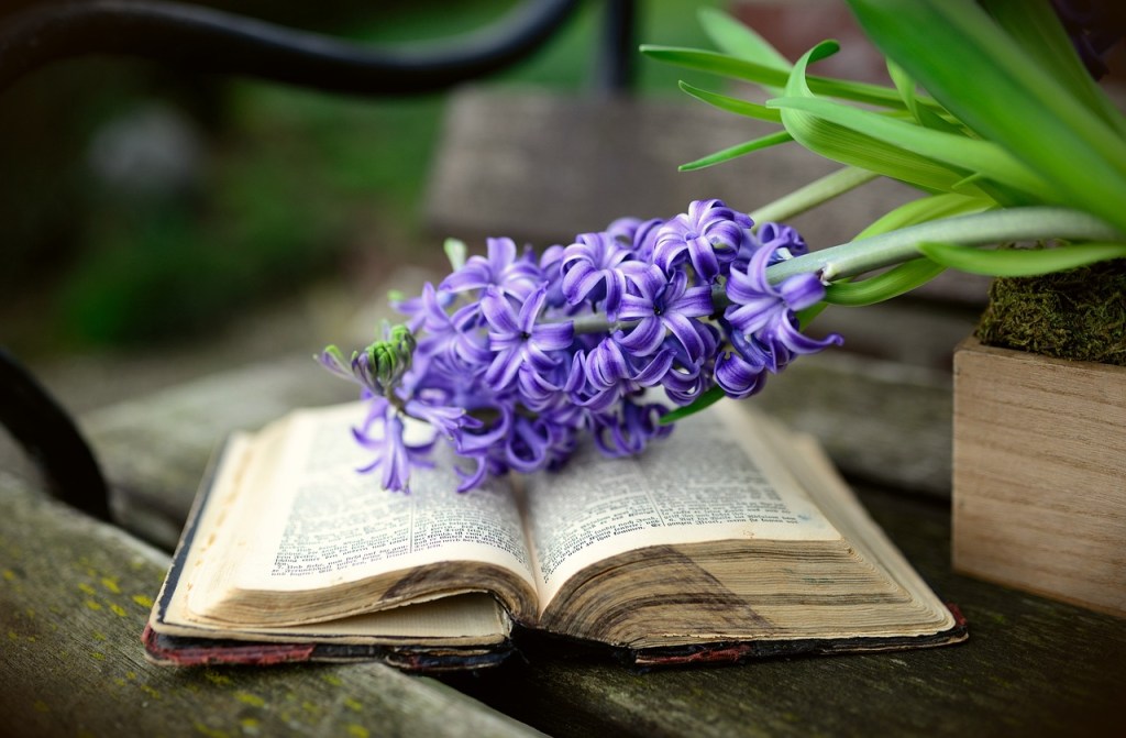 An open book resting on a wooden surface, adorned with a bouquet of purple flowers.