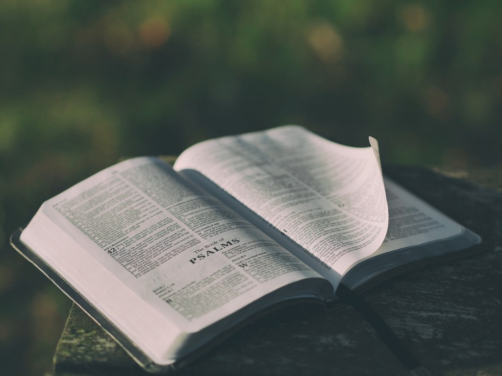 An open Bible with pages turning, displaying text, placed on a wooden surface against a blurred natural background.