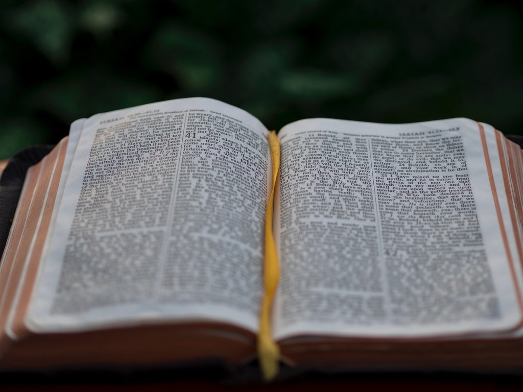 An open Bible with visible text, resting on a surface, surrounded by greenery in the background.