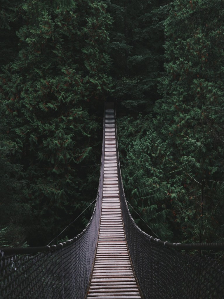 A suspension bridge extending through a dense forest, surrounded by lush green trees.