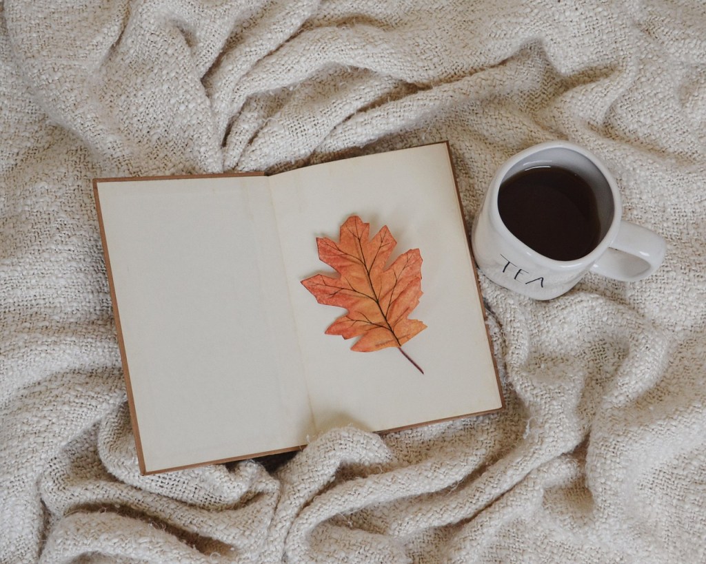 An open book with a pressed leaf resting on the page, accompanied by a white mug labeled 'TEA', all placed on a textured, cozy blanket.